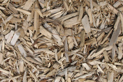 biomass boilers Gortenfern