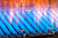 Gortenfern gas fired boilers